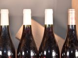 several bottles of wine are lined up on a table