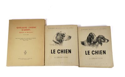 trois livres superposés sur une surface blanche