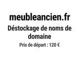 Photo 1/1 du lot