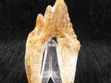 a close up of a rock on a clear stand on a black background
