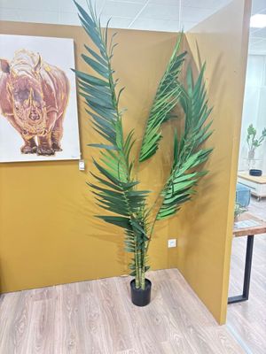 Grandes plantes artificielles 210 cm (pv 253,95€) : palmier,… - Photo 1