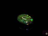 an oplite in the dark with a black background