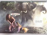 a calendar with a picture of a woman and an elephant in the water
