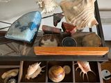 une table en verre sur laquelle se trouve un tiroir rempli de coquillages