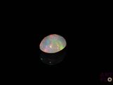 an oplite in the dark with a black background