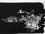 an image of a black and white drawing of flowers on a black background