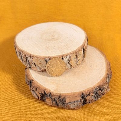 two slices of wood with a coin on top of them