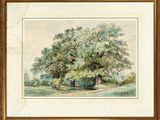 a painting of a large tree in a field with a bench