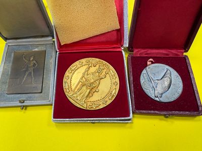 trois médailles se trouvent dans un écrin rouge posé sur un fond jaune