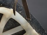 a close up of a piece of leather with a skeleton inside of it
