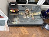 une table en verre sur laquelle se trouve un vase, devant une porte