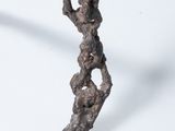 Photo 3/9 du lot