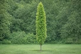 Destockage & Invendus