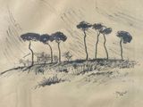 a drawing of three trees on a hill with a house in the background