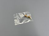 une petite dent dans un sachet en plastique posé sur une table