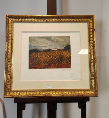 une photo d'une photo représentant un paysage, dans un cadre doré