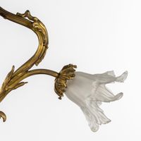 Deux lustres, en bronze doré et patiné, verre dépoli et albâ… (photo 6)