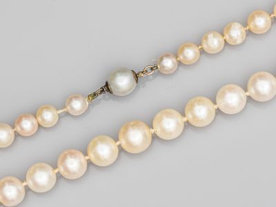 un collier de perles de culture et de diamants