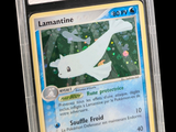 un gros plan d'une carte Pokémon représentant un dauphin