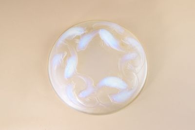 a glass plate with a circular design on it