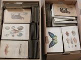 beaucoup de livres dans une boîte posée sur le sol