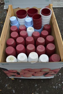 une boîte remplie de gobelets rouges et blancs posée par terre