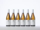 six bottles of white wine lined up in a row