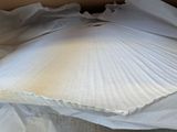 a box with a large white shell on top of it