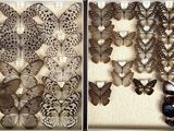 two pictures of different types of butterflies on display