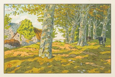 Henri Rivière (1864-1951) - La hêtraie de Kerzardern. - Photo 1