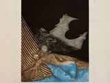 an image of a black and white photo of a bat on a bed