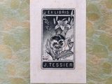 the cover of a book with a picture of a raccoon on it