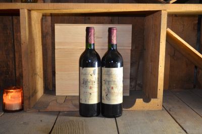 Chapelle d'Arsac Second Vin Margaux, 2000, deux bouteilles (… - Photo 1