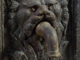 a close up of a metal door handle with a lion head on it