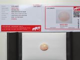 une photo d'une carte blanche sur laquelle figure l'image d'un oplite