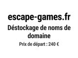 Photo 1/1 du lot