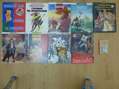 de nombreux livres accrochés au mur de la pièce