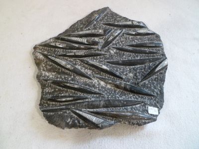 a stone with a pattern on it sitting on a table