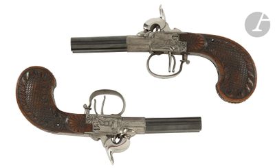 deux pistolets sont représentés côte à côte sur un fond blanc