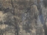 a picture of a painting of some trees in the woods