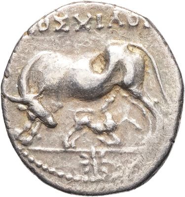 a close up of a silver coin with a horse on it