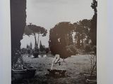 black and white photograph of an ostrich standing on a bench in a park
