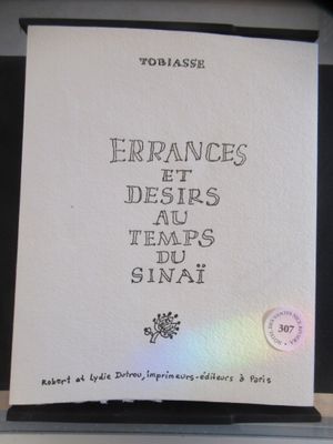 Un livre sous emboitage "Errances et désirs au temps du Sina…