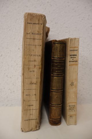 BRILLAT – SAVARIN : Physiologie du goût. Paris, Charpentier, ½ re...