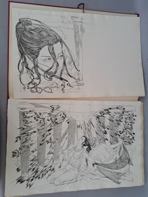 deux pages d'un livre comportant des dessins représentant une femme et un homme