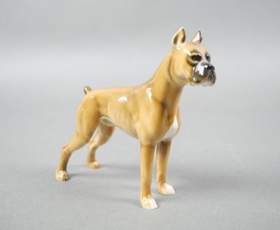 HUTSCHEN REUTHER GERMANY Boxer