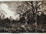 a drawing of trees in a field with a full moon in the background