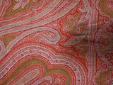 a close up of a red and green paisley print scarf