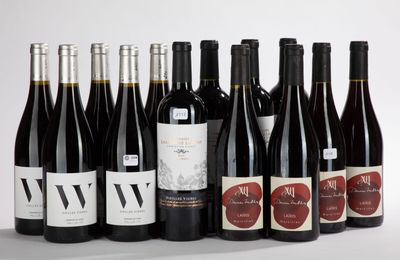 plusieurs bouteilles de vin sont alignées sur une surface blanche