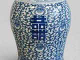 un vase bleu et blanc orné d'un motif
